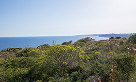 Finca Cala Santanyi Mallorca