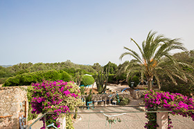 Inmobiliaria ivent S.L. - Mallorca Immobilien C3308